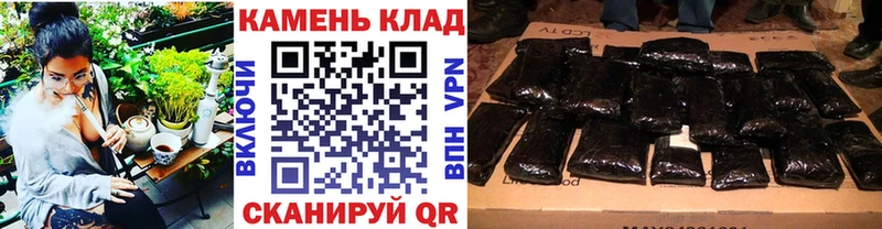 Гашиш Cannabis  Лаишево 