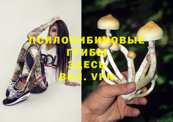 а пвп мука Армянск