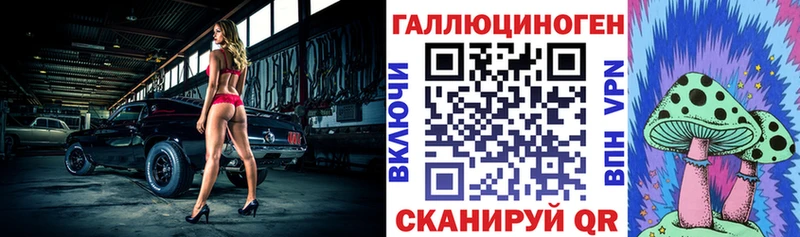 купить наркотик  Лаишево  Псилоцибиновые грибы Psilocybe 